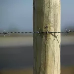 Ronce zinc alu (100m)